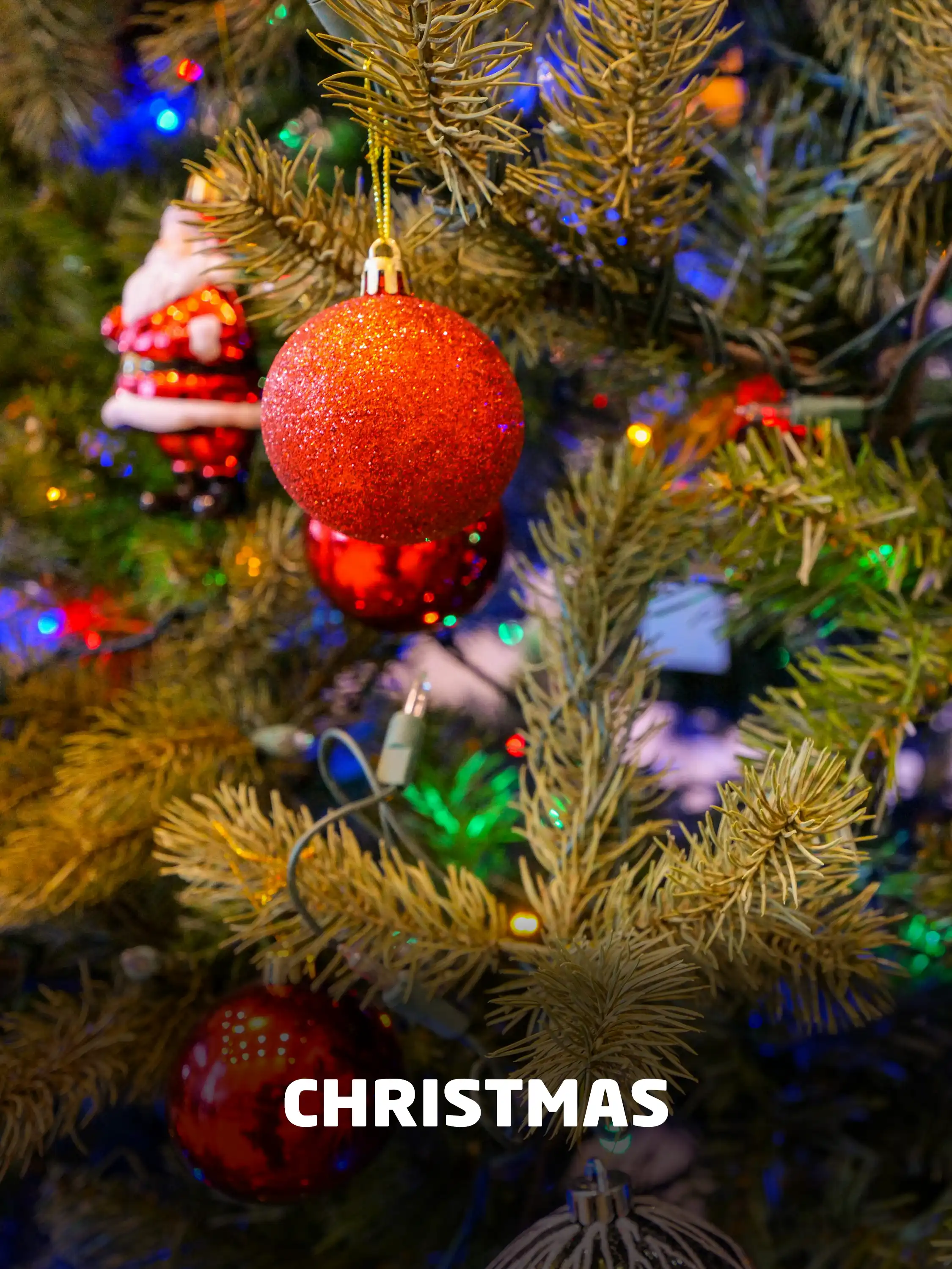 Optimistic Pace Christmas