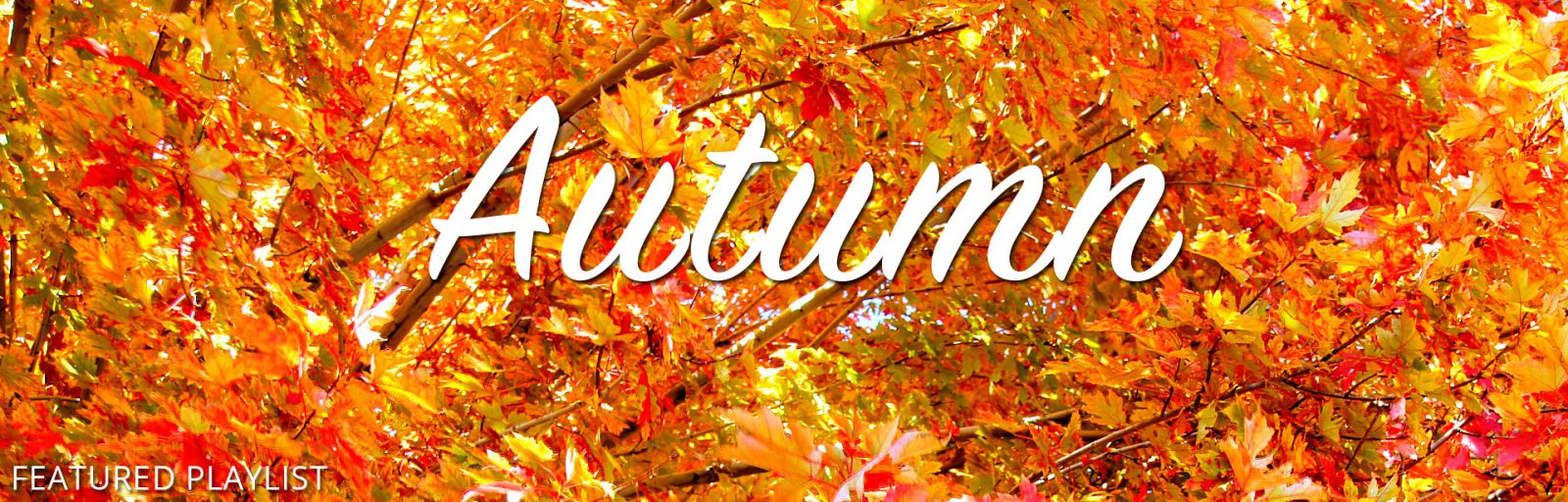 Autumn_Scenes_Collection